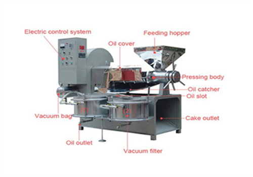 Petite machine automatique de fabrication d’huile froide de coton égyptien