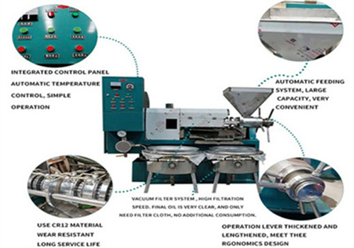 mini presse à huile automatique de moutarde au Tchad