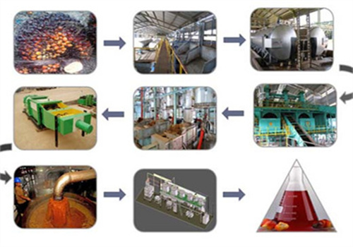 Capacités disponibles de la machine d’extraction à froid d’huile de palme