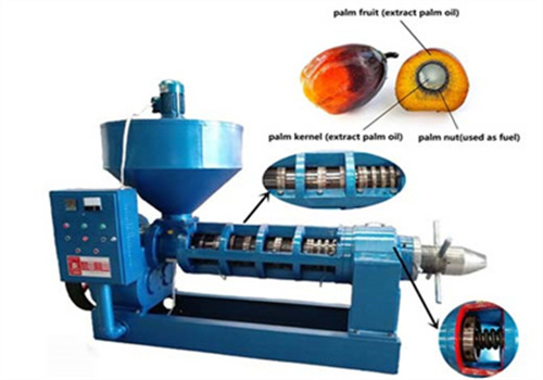 Vente chaude de petite machine d’extraction d’huile de palme à Abidjan 2025