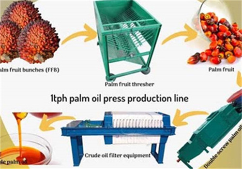 Presse à huile de palme Yaoundé 120 tonnes par jour Extracteur d’huile